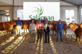 Los campeones de Limusin, Charolés y Blonda, protagonistas de la entrega de premios de la 35 Exposición de Ganado Puro